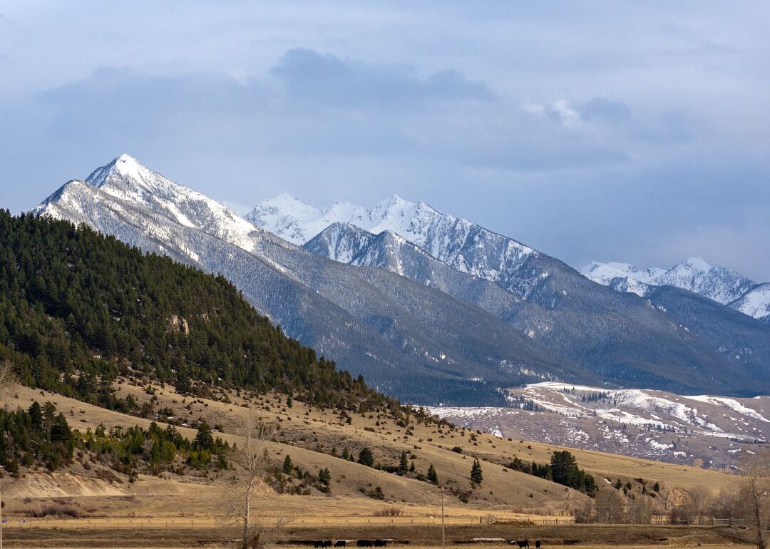 Montana